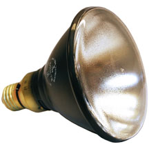 H44GS-100紫外灯泡，BLE-100S/M黑光灯泡