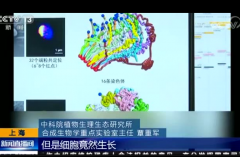 祝贺MoFlo用户创建世界首例人工单染色体真核细胞